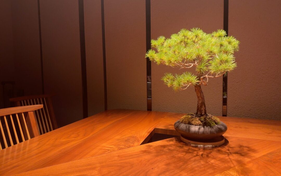 Non-EU/EEA Certificates Not signed by NTA in Japan offices.