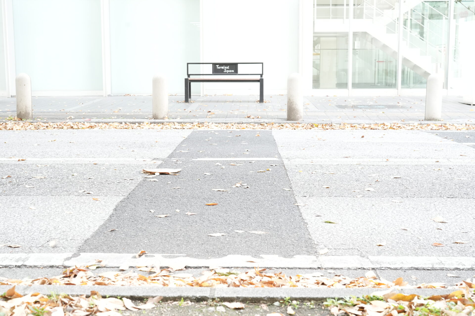 In Okayama in autumn In Okayama in autumn