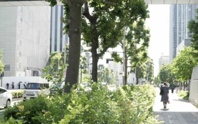 What “Local Origin” Means for a Small Tax Accounting Firm in Japan