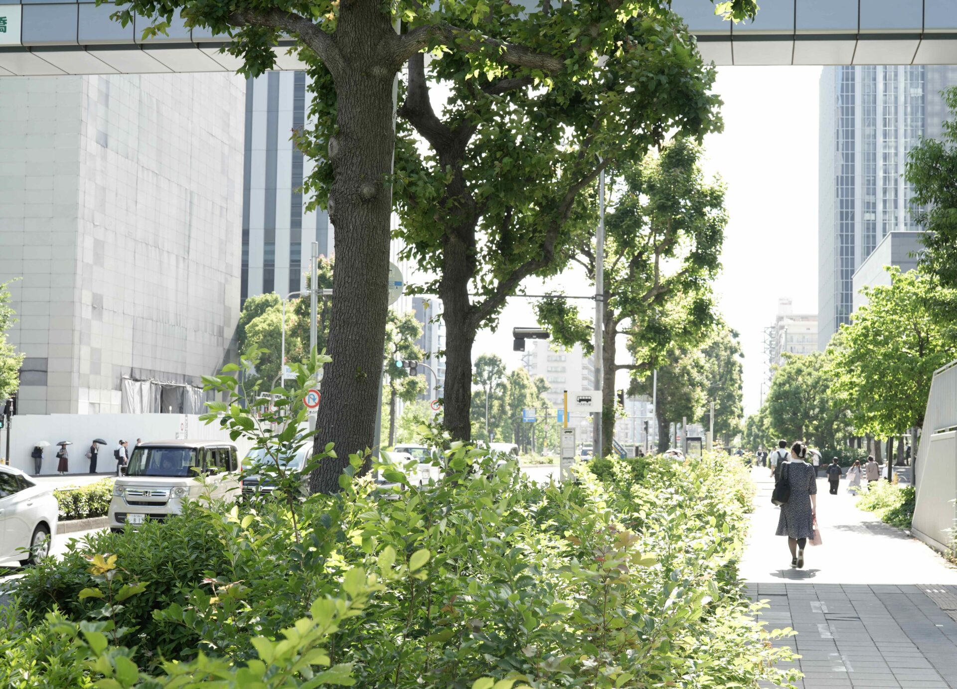 tax-accounting-firm-born-from-the-field AKI Japan Tax Consultant Office | Income Tax, Corporate Tax, International Tax matters | What “Local Origin” Means for a Small Tax Accounting Firm in Japan